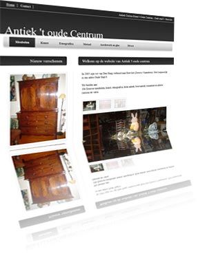 Printscreen van de website Antiektoudecentrum.nl